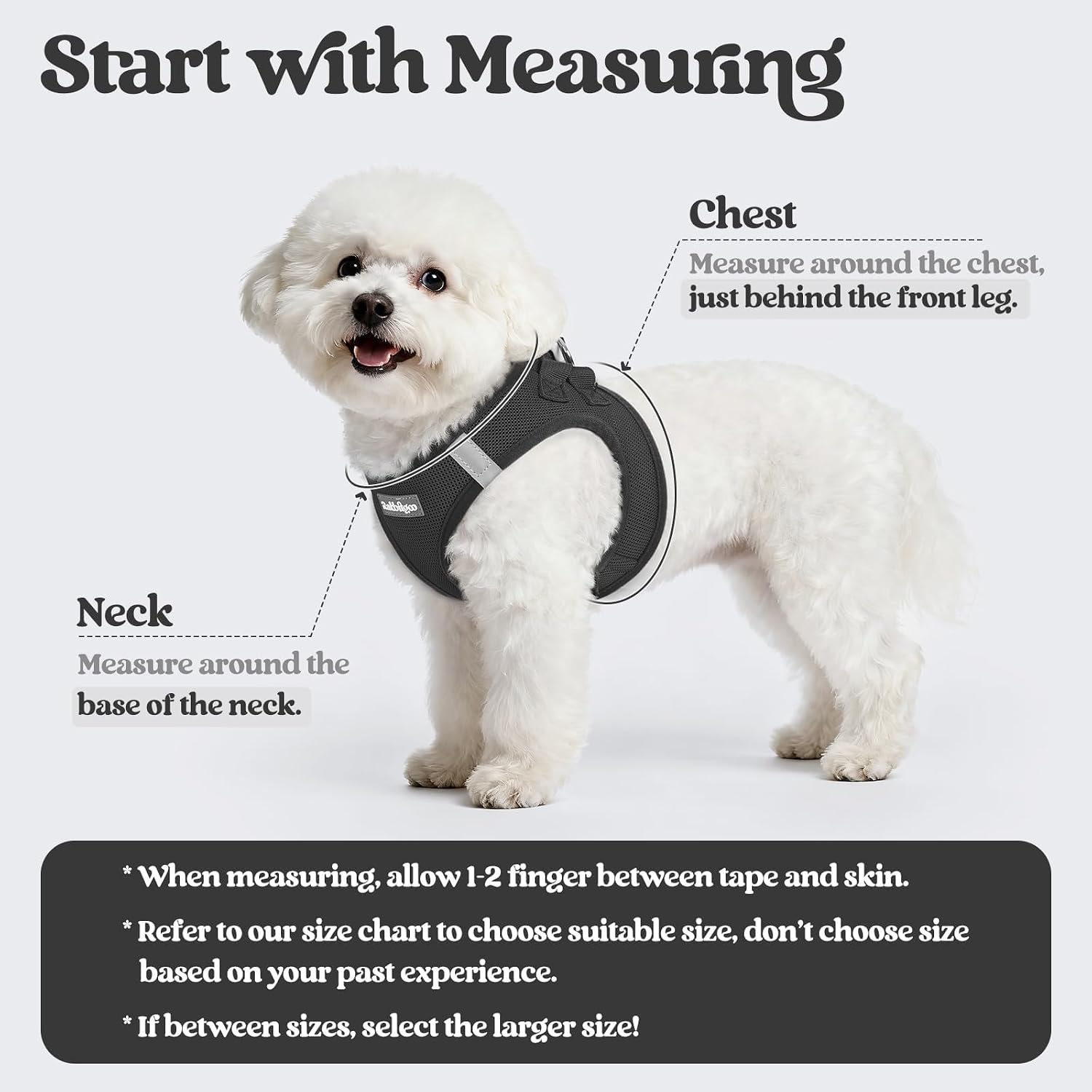 Detalle de rabbitgoo DGMJTZ01LBK25CW-EU Step-In Dog Harness and Leash Set, Black Mesh
