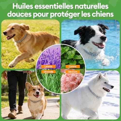 Detalle de Collar Antiparasitario para Perros GlowPoint — Pack de 2, ajustable 65 cm y resistente al agua