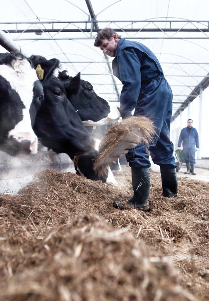 Thumbnail 1 de DUNLOP K254711 Sicherheitsschuhe Sport 👟