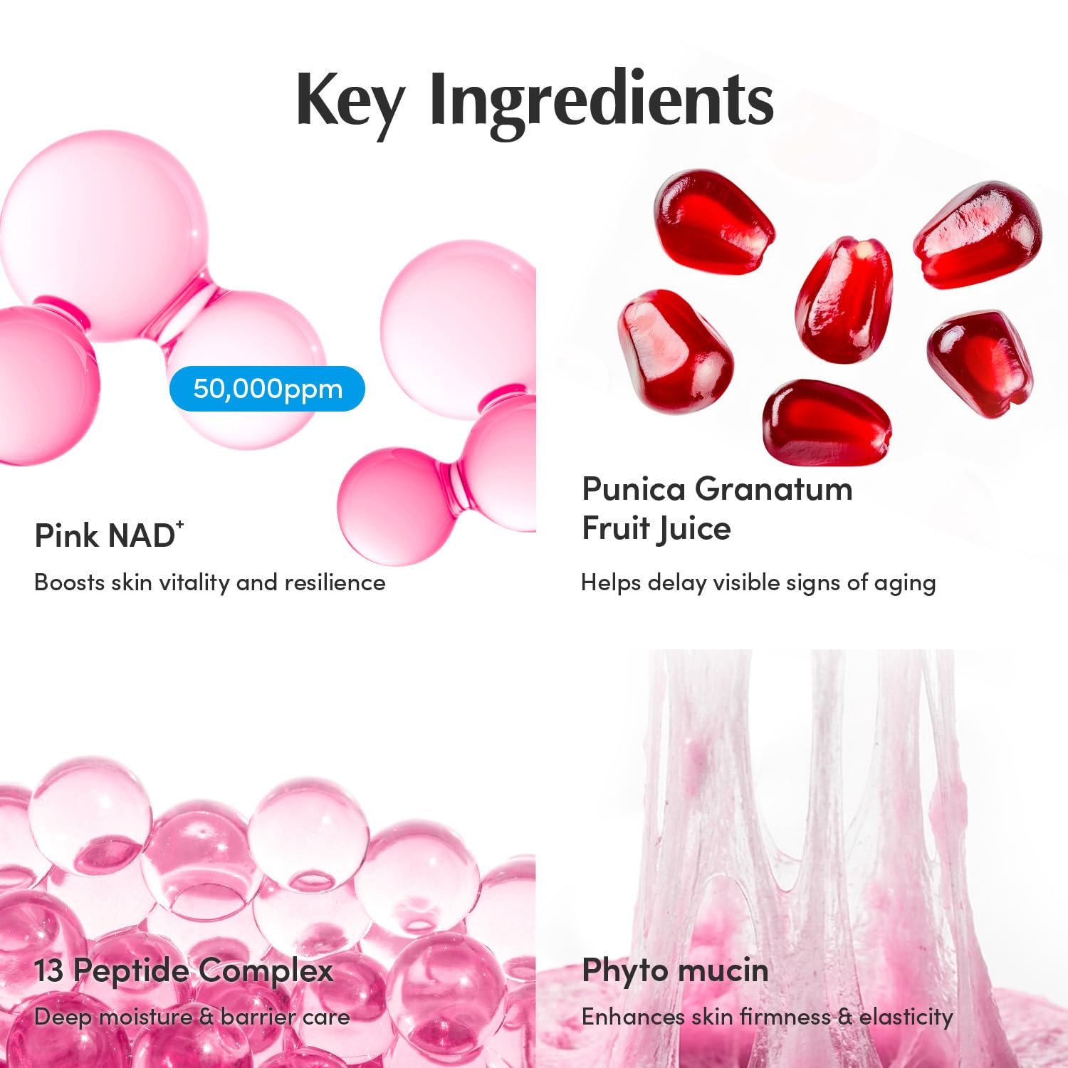 Detalle 2 de EQQUALBERRY NAD+ Peptide Cream 5%