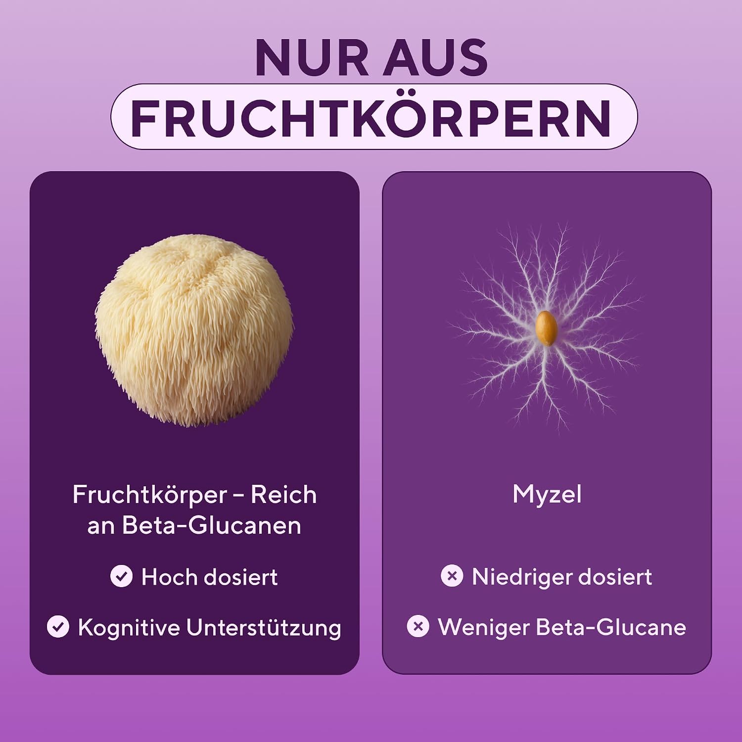 Thumbnail 5 de Lions Mane Kapseln 10.000 mg 10:1
