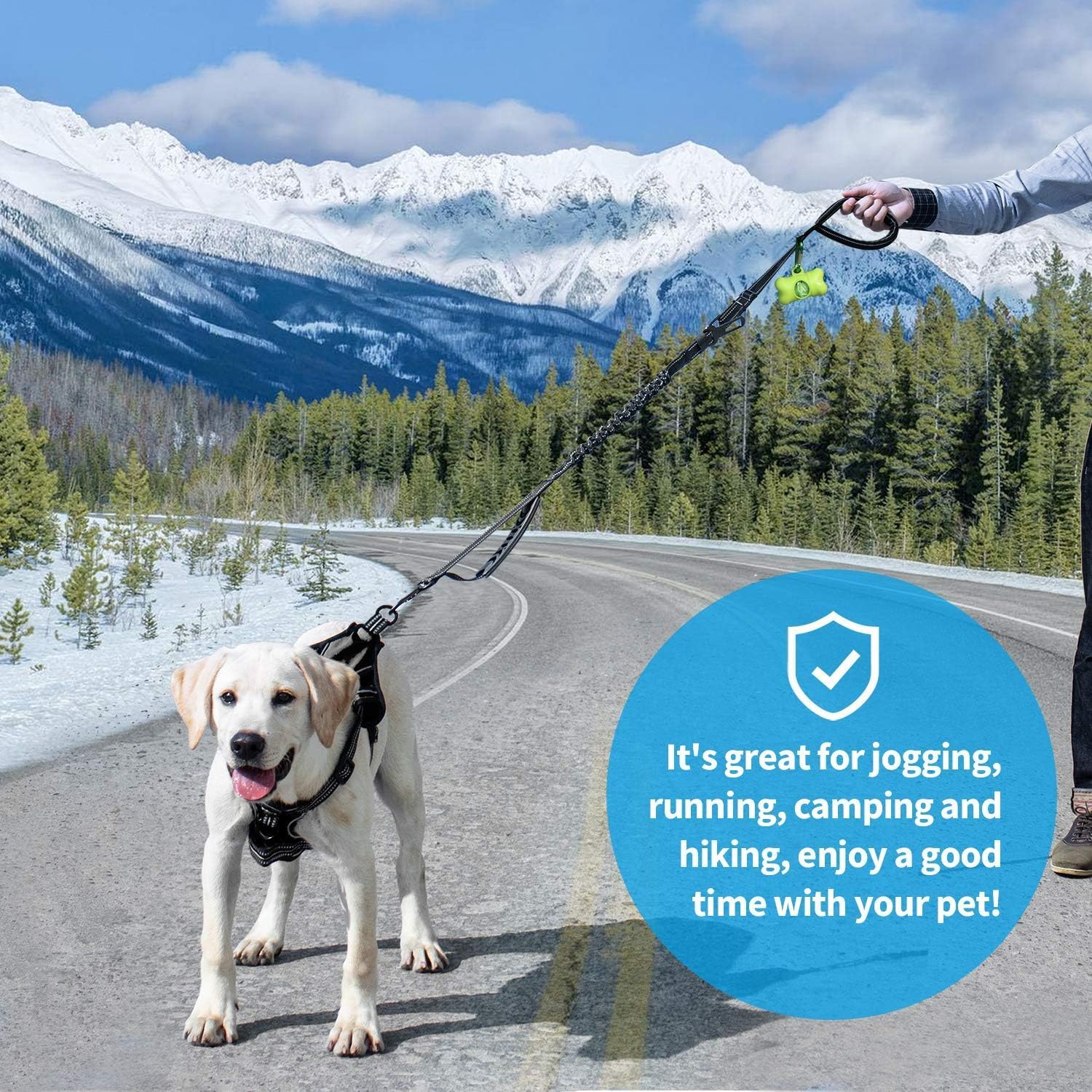 Thumbnail 5 de IOKHEIRA Bungee Dog Leash 120–150 cm