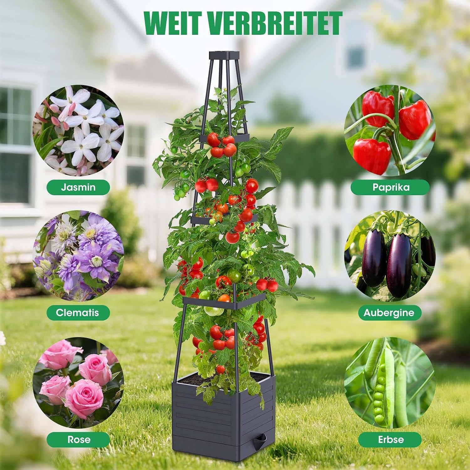 Detalle de MQHUAYU Tomatentopf-Set mit 145 cm Rankhilfe und Selbstbewässerung (2er-Pack)