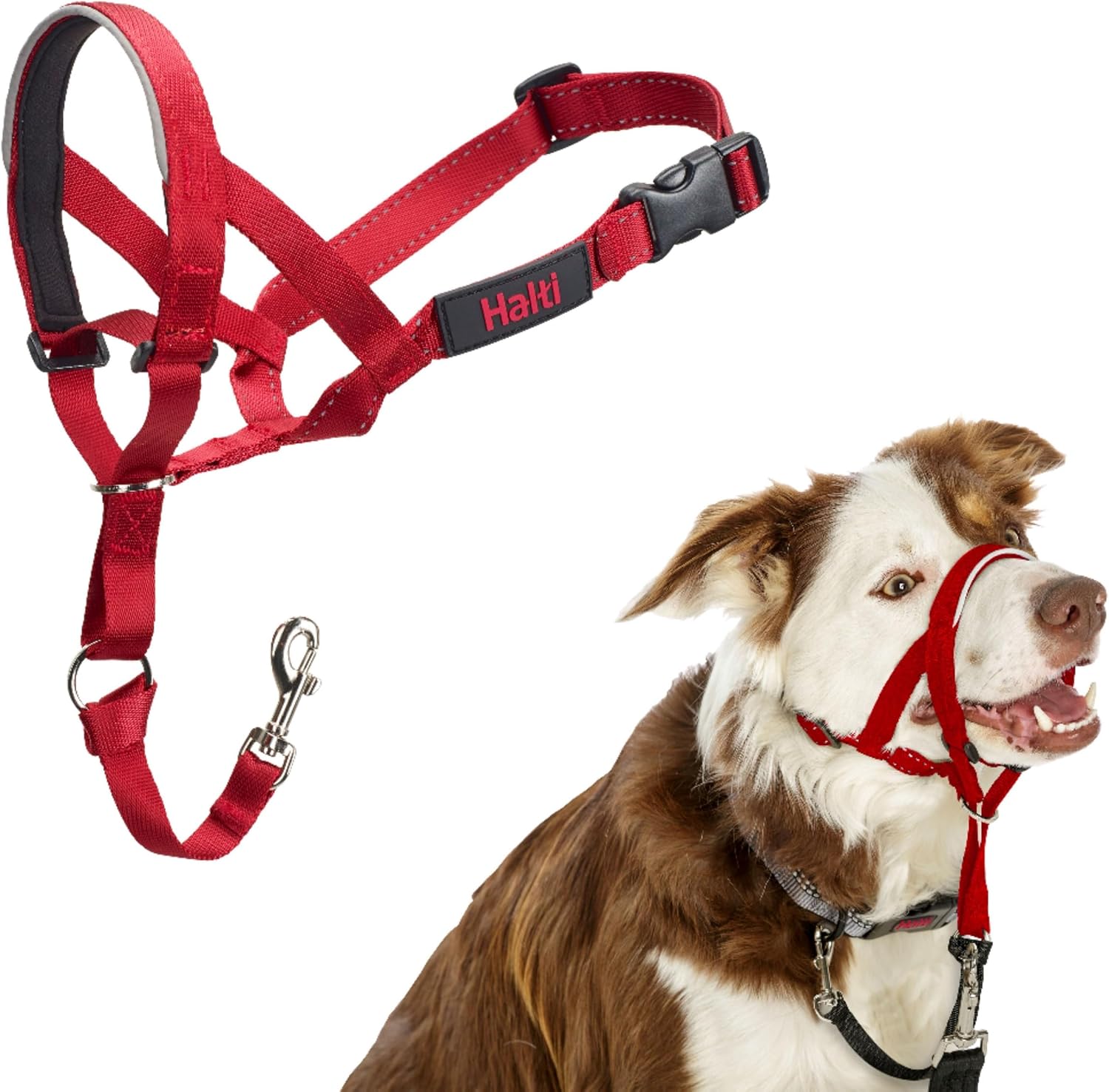 Detalle de Halti Halfter Hundetraining Halsband Größe 2 Rot