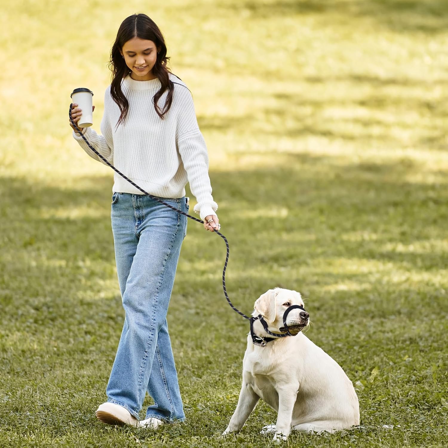 Thumbnail 6 de Loutep Figure of 8 Anti-Pull Dog Lead (187cm) with Soft Padded Nose & Reflective Stitching – Black