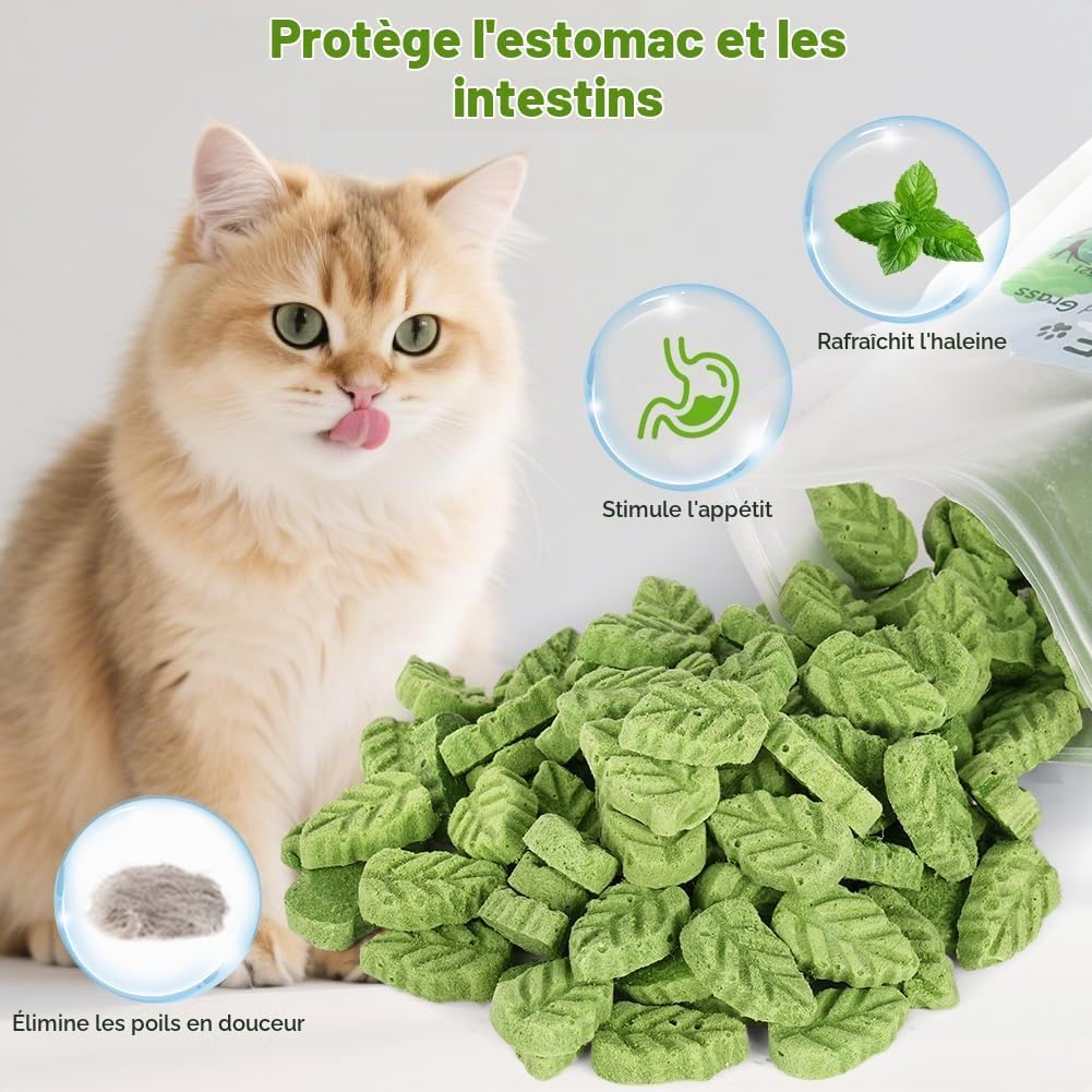 Detalle de OSDUE gevriesdroogde kattensnack met kip en kattenkruid in blaadjesvorm