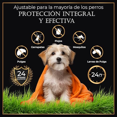 Detalle de Life Innovation Pack 4 Collares antiparasitarios para perros – 24 meses de protección natural