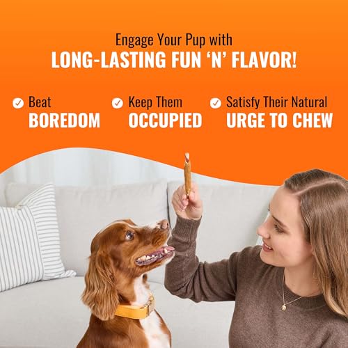 Detalle de Good 'n' Fun Roll Long-Lasting Dog Treat for Large Dogs, 6 Count