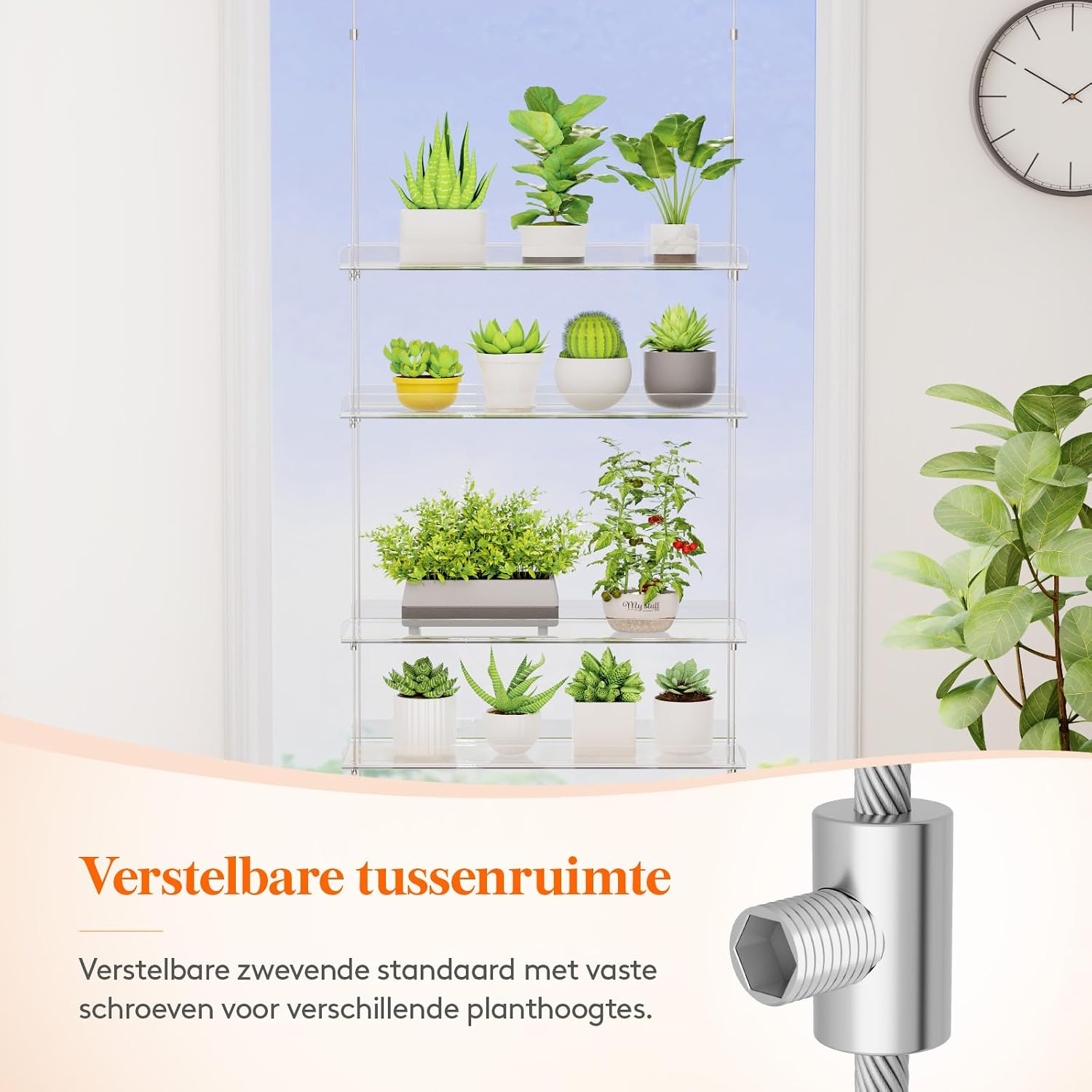 Detalle de Lifewit 24127 wandplank voor planten, transparant en verstelbaar met 3 niveaus