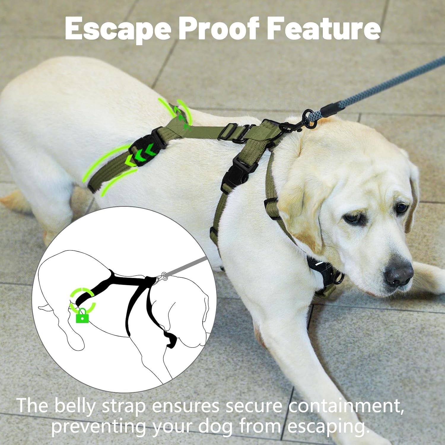 Detalle 1 de Paworld Escape Proof Dog Harness