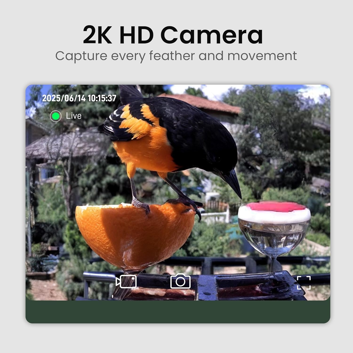 Detalle de Smart Bird Feeder with Camera – Solar Powered, 2K HD Video, AI Bird Identification, Red