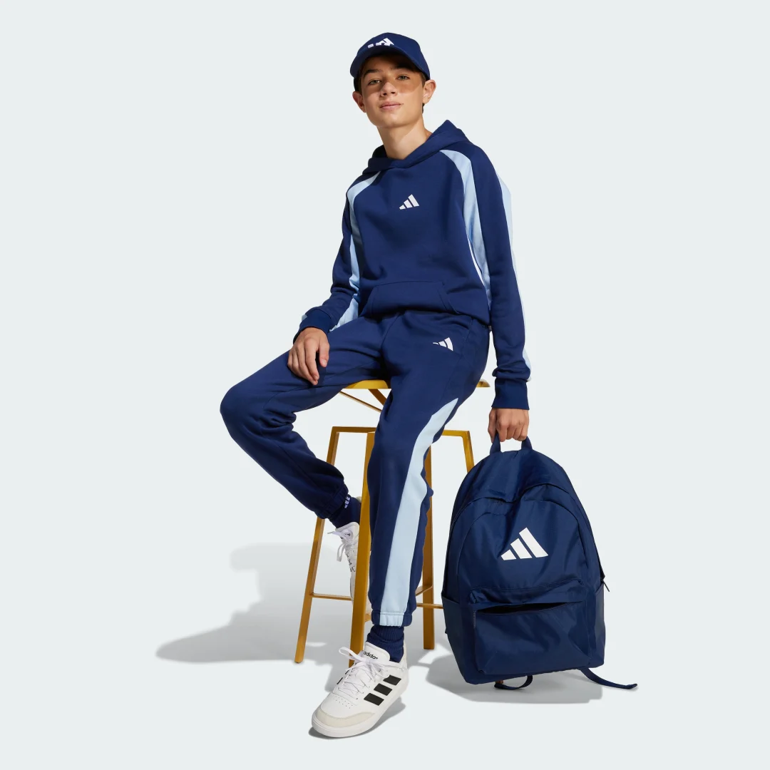 Detalle de Sudadera con capucha Seasonal Essentials Colorblock Fleece (Adolescentes) de Adidas