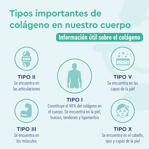 Detalle 1 de Colágeno Marino Hidrolizado + Q10, Piel Firme y Energía 💪