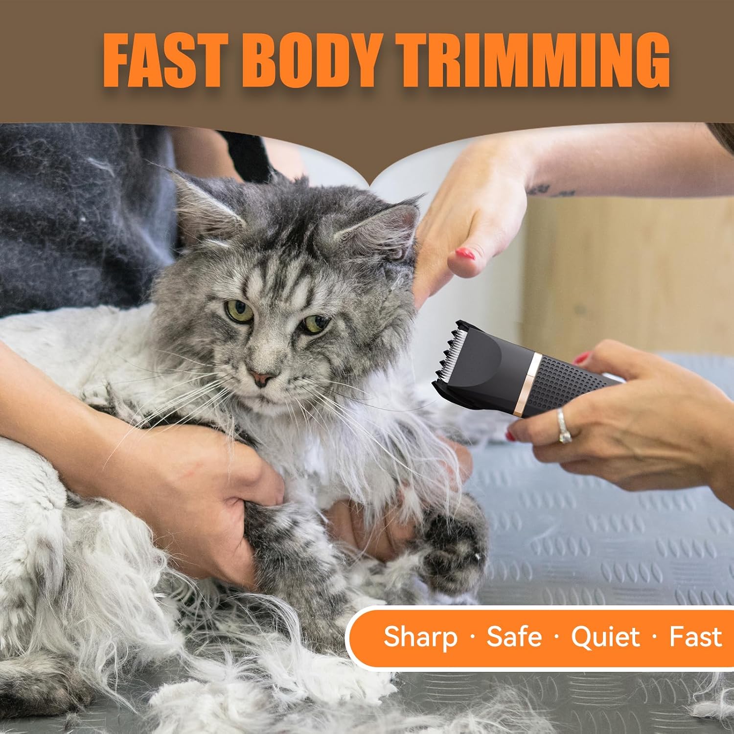 Thumbnail 6 de BAUTRIUM Cat Grooming Clippers Kit: Low-Noise, 3-in-1 Grooming for Cats and Small Pets