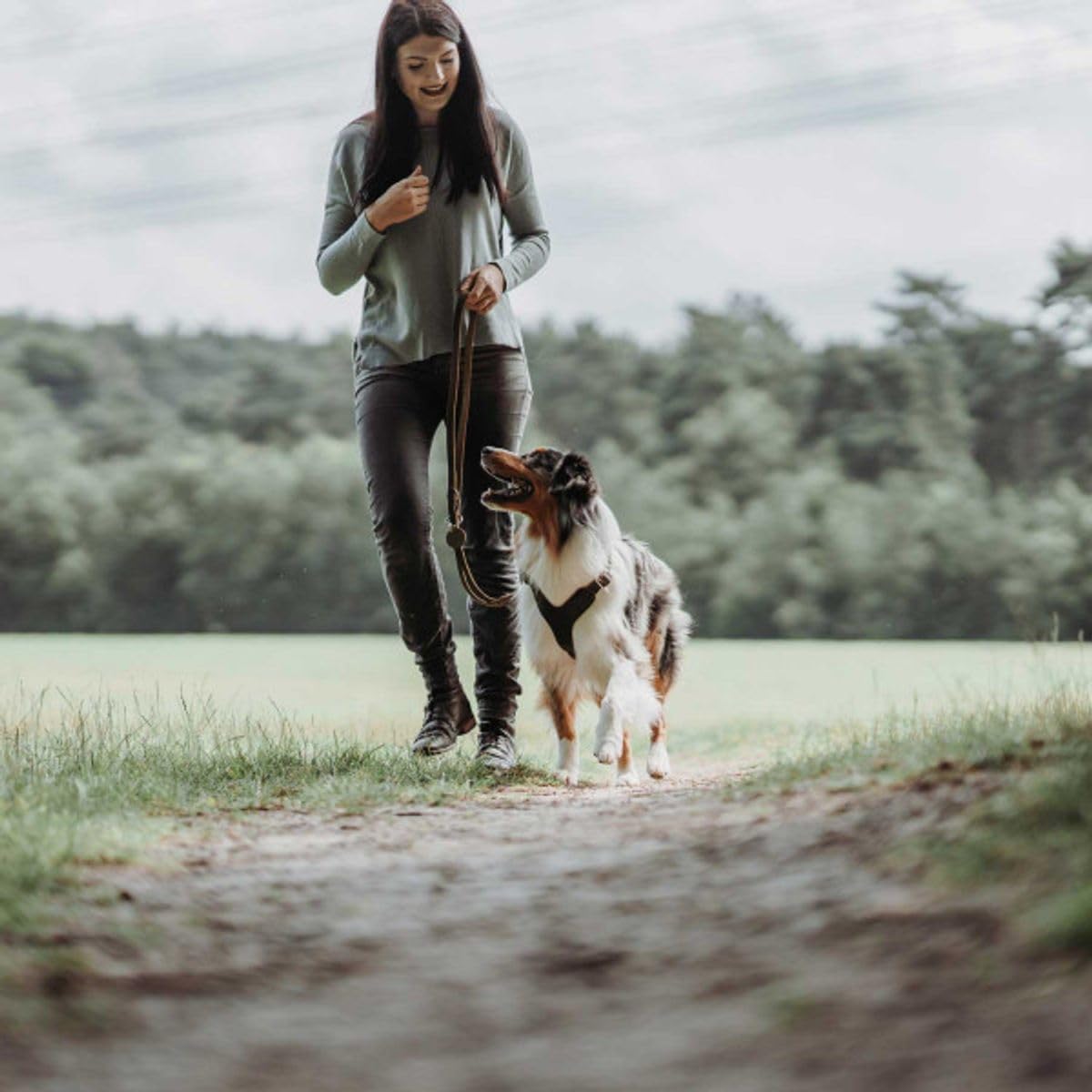 Thumbnail 1 de HUNTER verstellbare Hundeführleine aus Leder, dunkelbraun, 3-fach verstellbar (20/200)