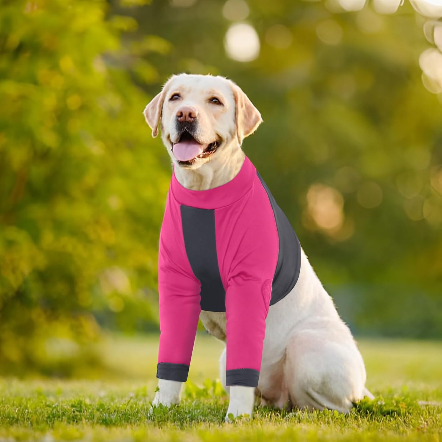 Thumbnail 6 de LeLePet Dog Body Suit After Surgery – Rose Red, XL
