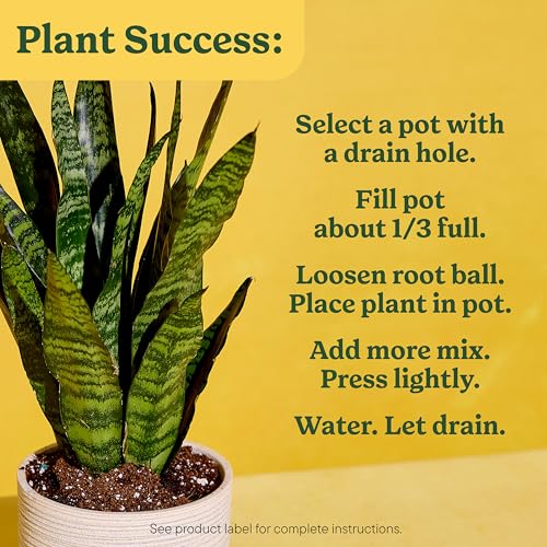 Detalle 2 de Miracle-Gro Indoor Plant Grow, Feed & Protect Bundle