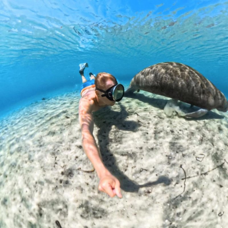 Detalle de Insta360 X5: Carcasa subacuática invisible con cúpula antidistorsión IPX9K 60 m