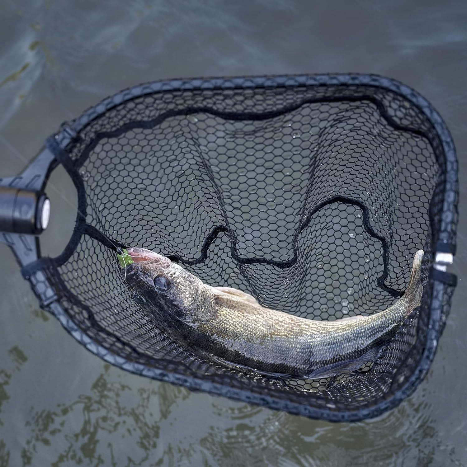 Thumbnail 4 de KastKing Brutus Fishing Landing Net, 31-Inch PVC Mesh, Foldable Aluminum Frame