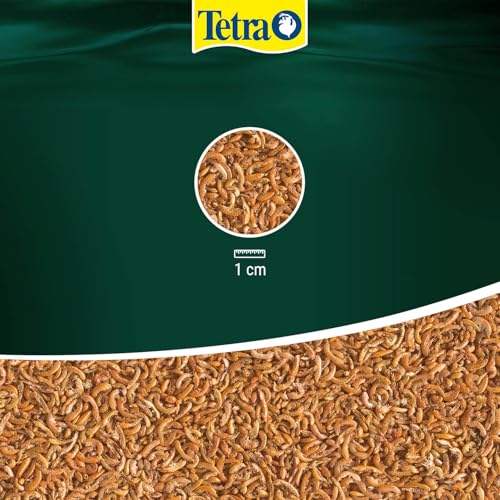 Thumbnail 3 de Tetra Gammarus: Alimento Natural para Tortugas 🐢 - Lata 1L