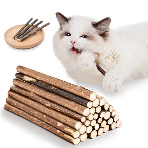 Thumbnail 8 de OSDUE Palitos de Hierba Gatera para Gatos — 32 Palitos 100% Orgánicos