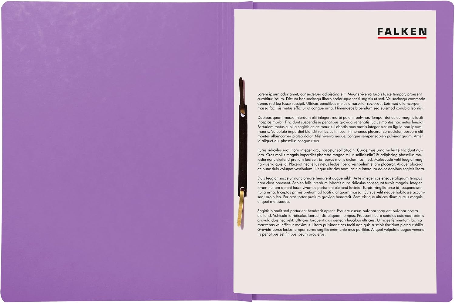 Detalle de Falken Confezione da 10 raccoglitori ad alta velocità in viola (DIN A4) – Made in Germany, cartone riciclato, Blauer Engel