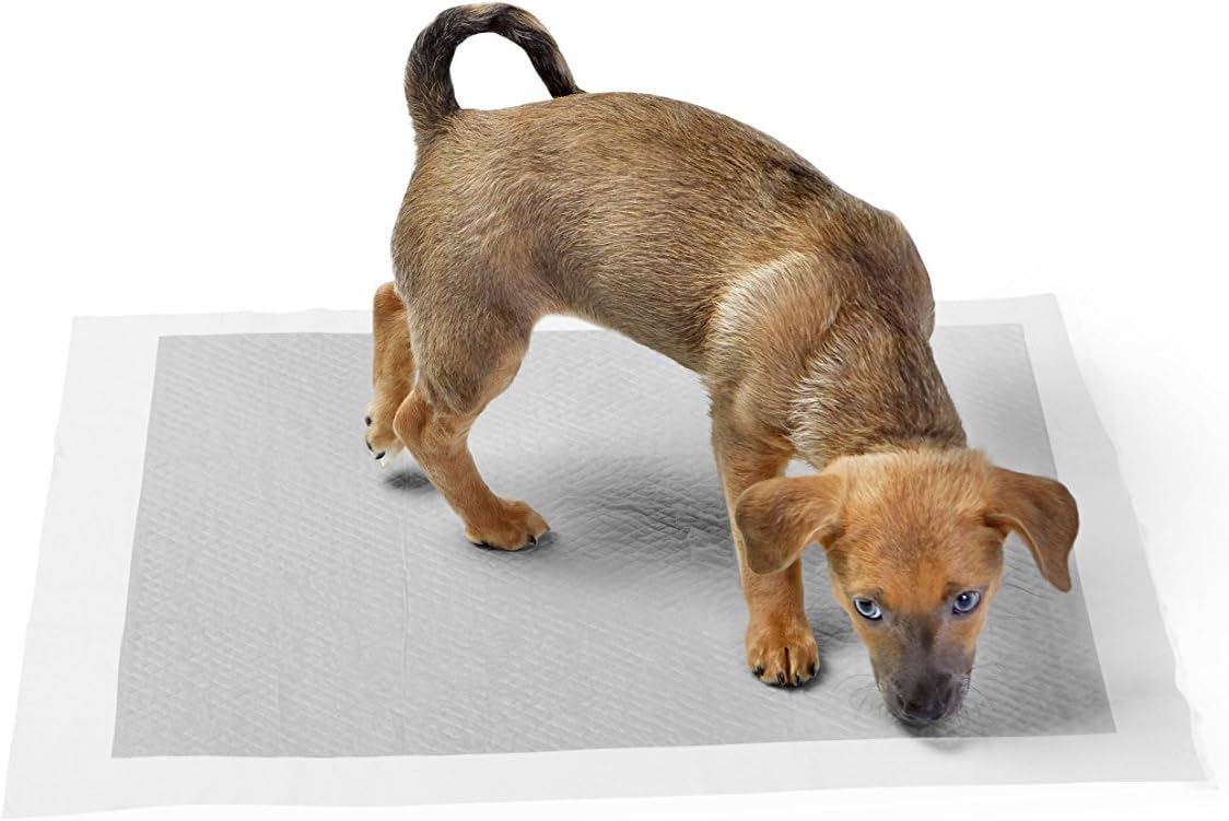 Detalle 2 de Amazon Basics Trainingspads für Hunde und Welpen mit Kohlenstoff zur Geruchskontrolle – 40 Stück, Grau