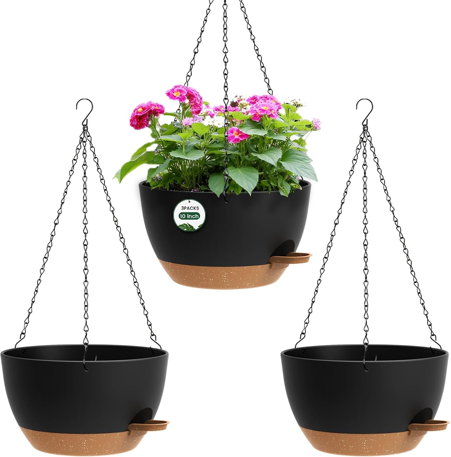 Detalle de Hanging Planters, 12-Inch