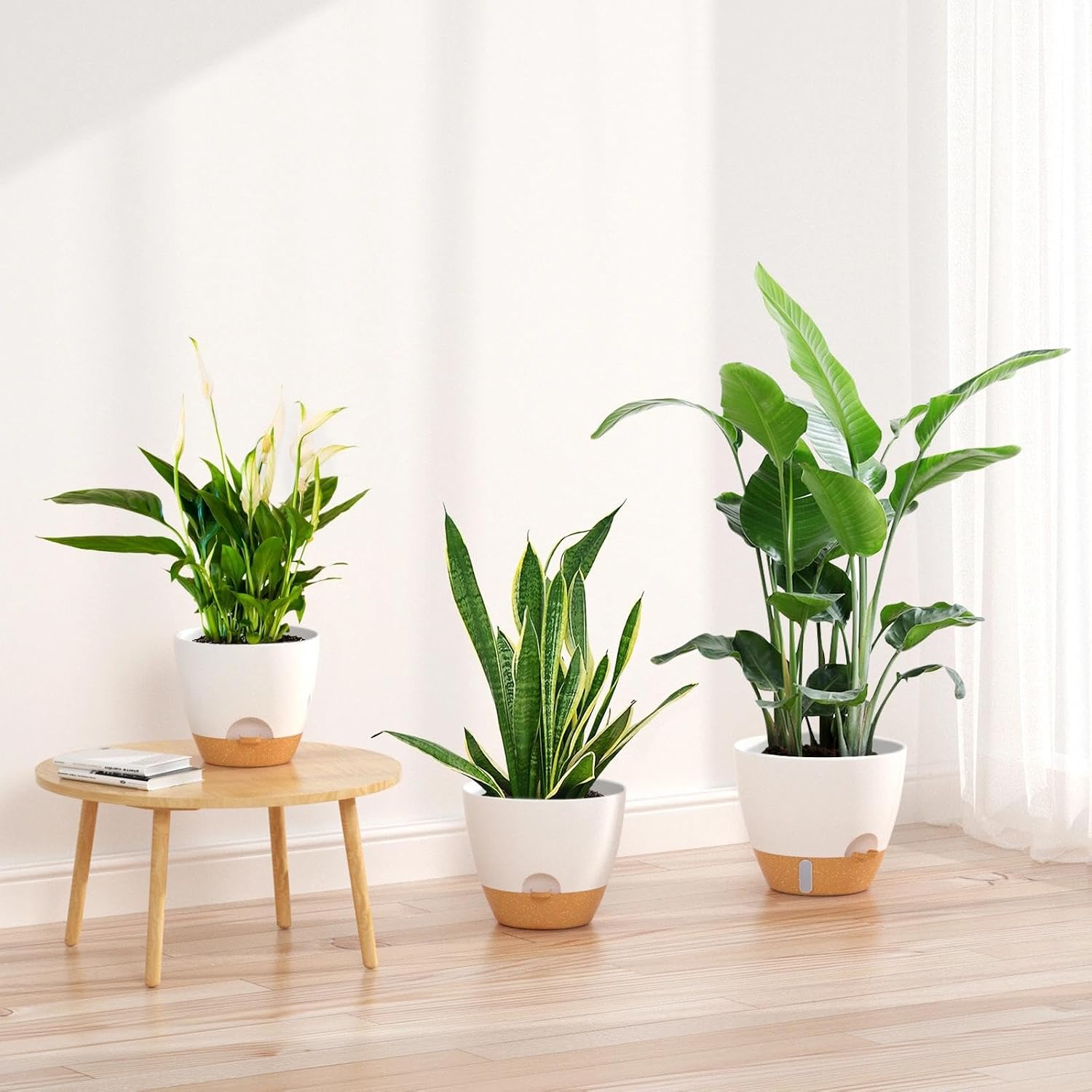 Thumbnail 6 de ZMTECH Self-Watering Plant Pots, 8/9/10-Inch White Set with Water-Level Indicator
