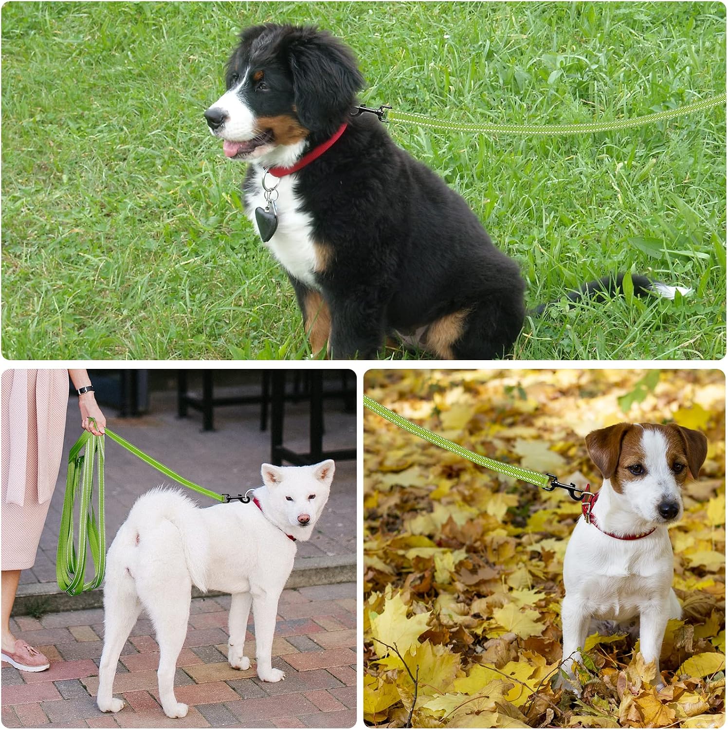 Detalle 2 de Demigreat Schleppleine für Hunde mit reflektierenden Streifen, gepolstertem Griff und Handschlaufe (3 m / 5 m / 10 m / 15 m / 20 m)