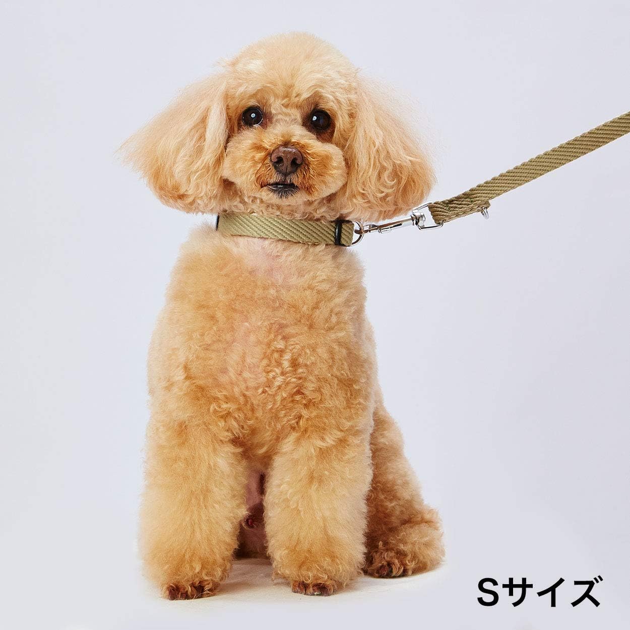 Detalle 2 de アドメイト ソフトスキップリード 犬用引き紐 Sサイズ グリーン・ポリエステル製