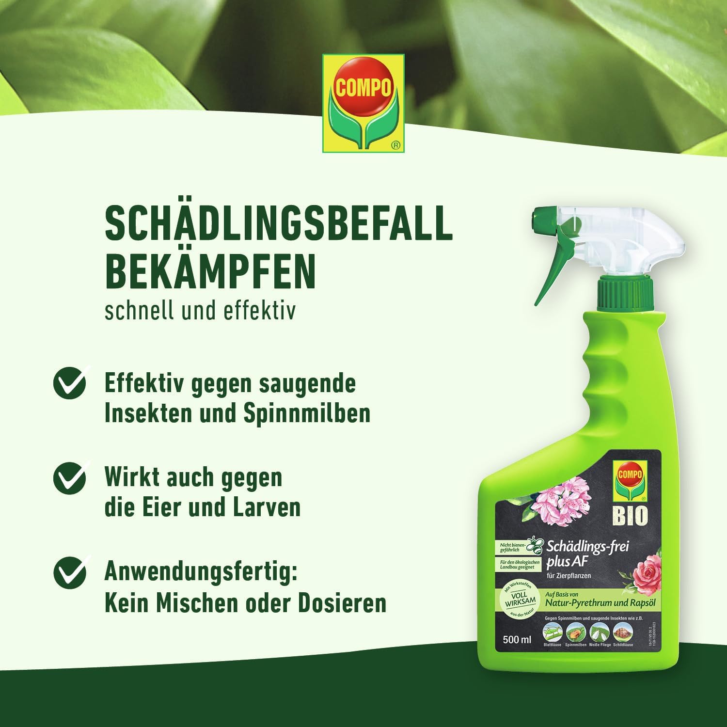 Detalle 2 de COMPO Schädlings-frei plus AF – Sprühinsektizid gegen Blattläuse, Schildläuse, Woll- und Schmierläuse (500 ml)