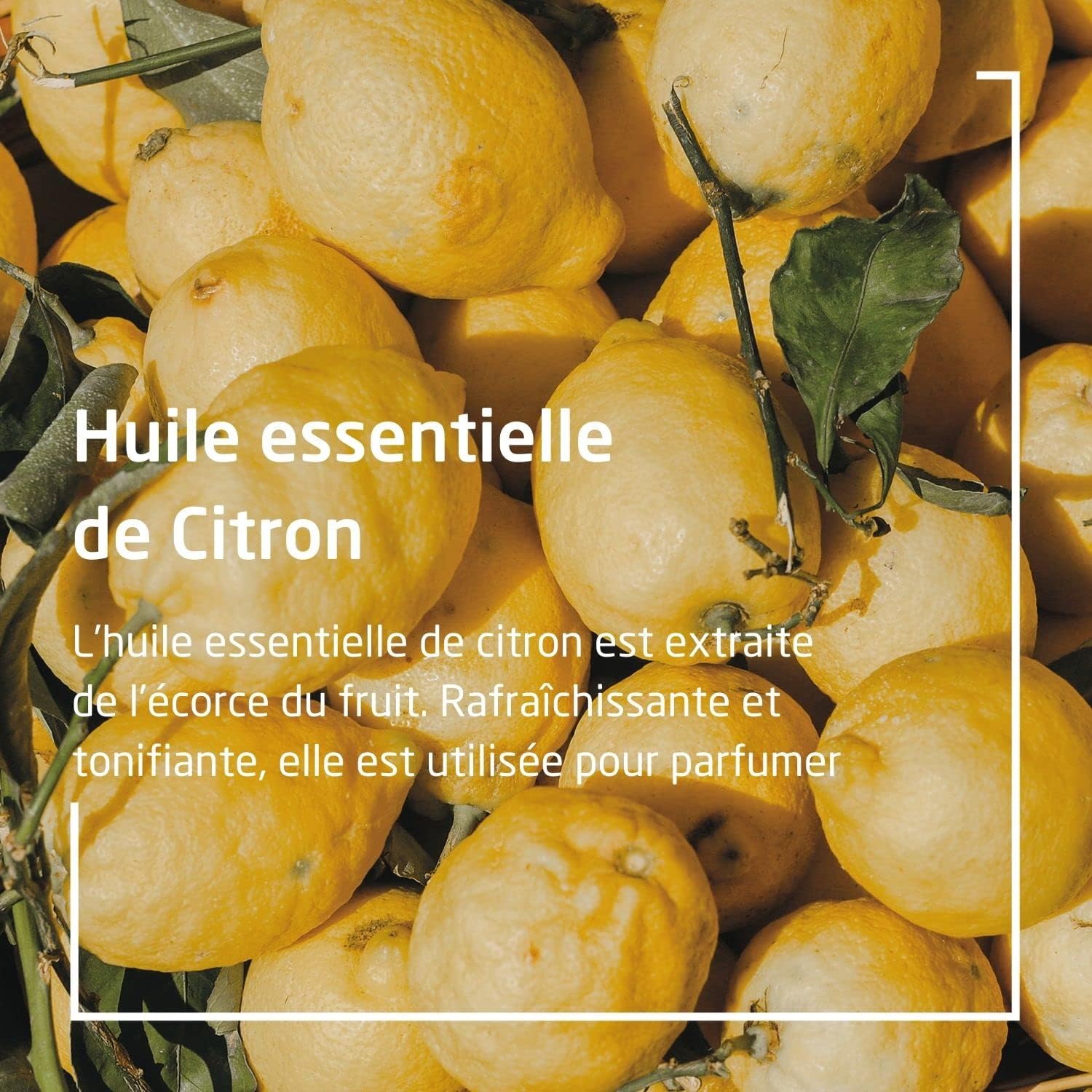 Thumbnail 4 de WELEDA Bain vivifiant au citrus 200ml