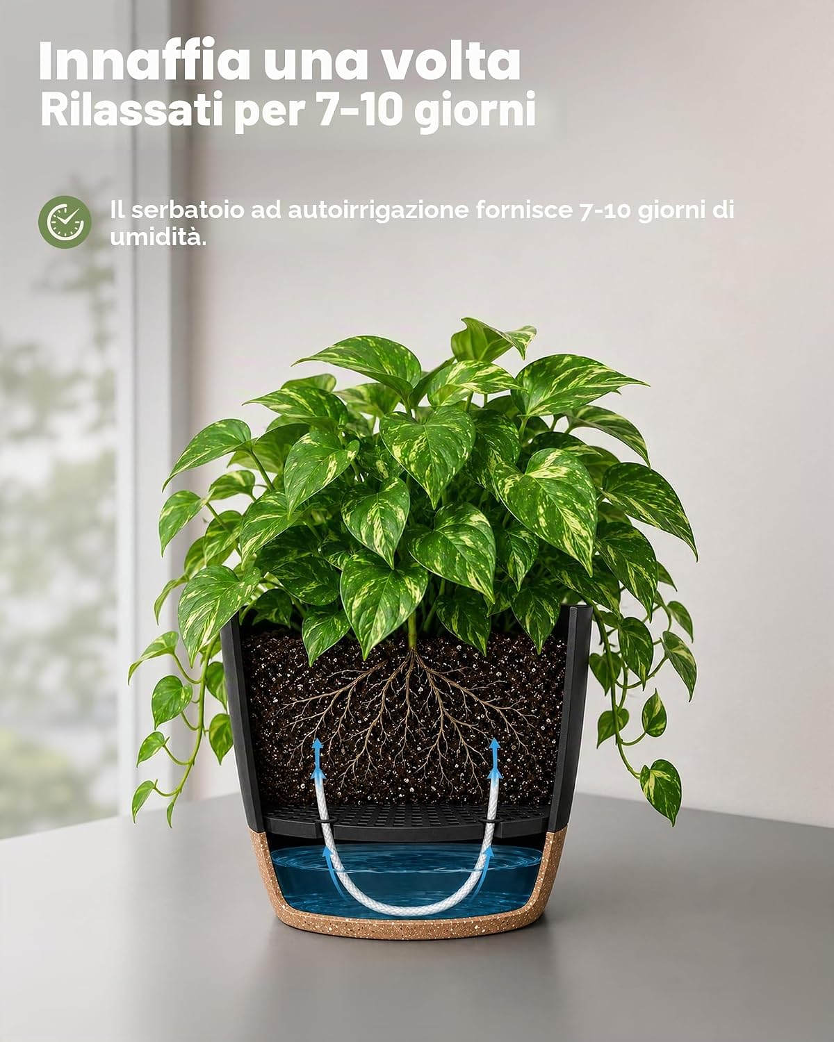 Thumbnail 3 de Bamworld Vaso per Piante da Interno con drenaggio – Set 6 Autoirrigante (12,7–20,3 cm) in Plastica di Qualità