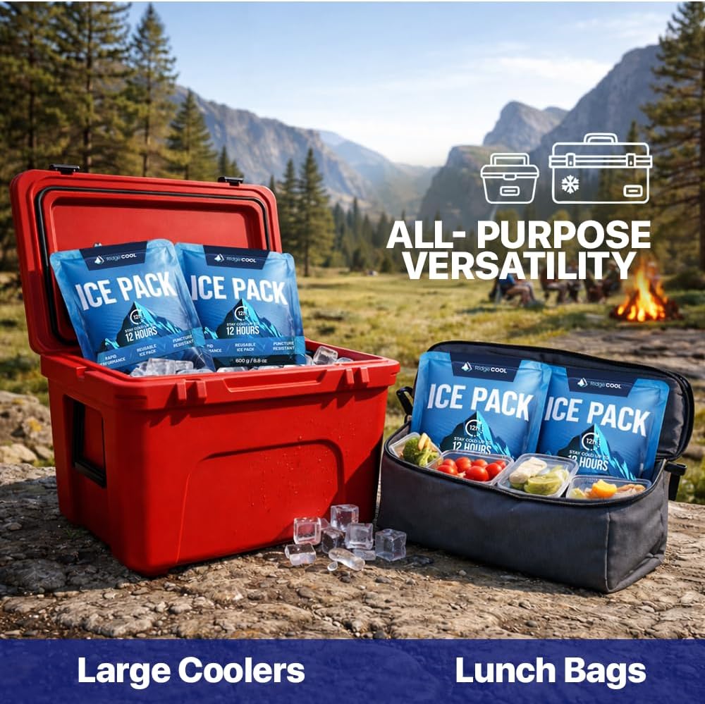 Thumbnail 5 de RIDGECOOL Reusable Cooler Ice Packs, 4-Pack, Large 9.8 x 8.6-Inch Size