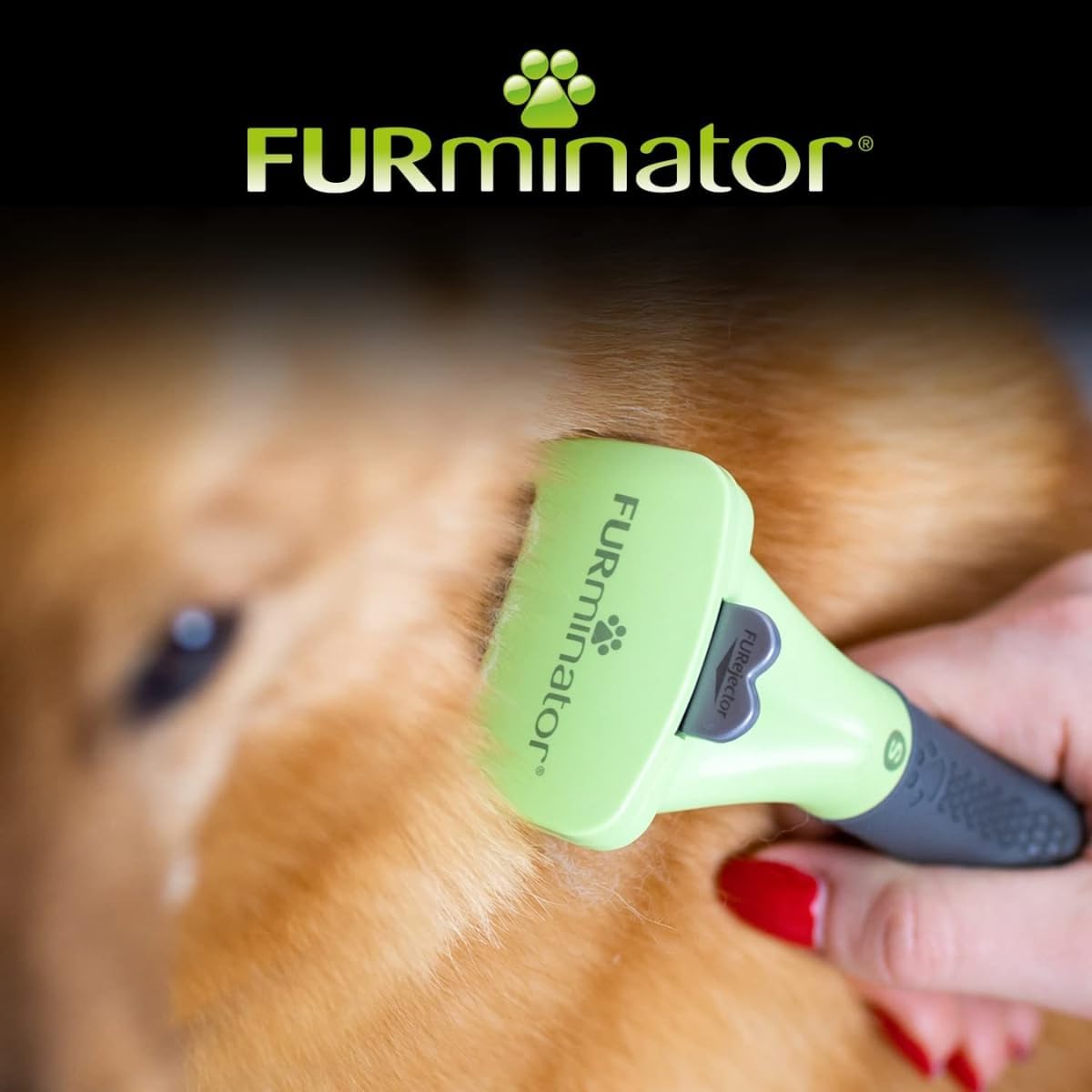 Thumbnail 6 de FURminator Outil Undercoat deShedding pour Chien à Poils Longs