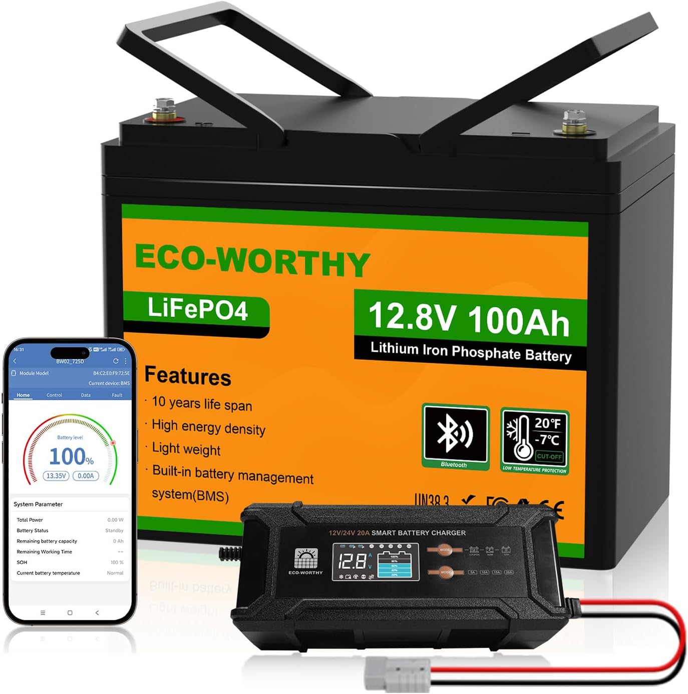 Detalle de ECO-WORTHY 12 V 100 Ah LiFePO4-batteri med Bluetooth och 12/24 V-laddare