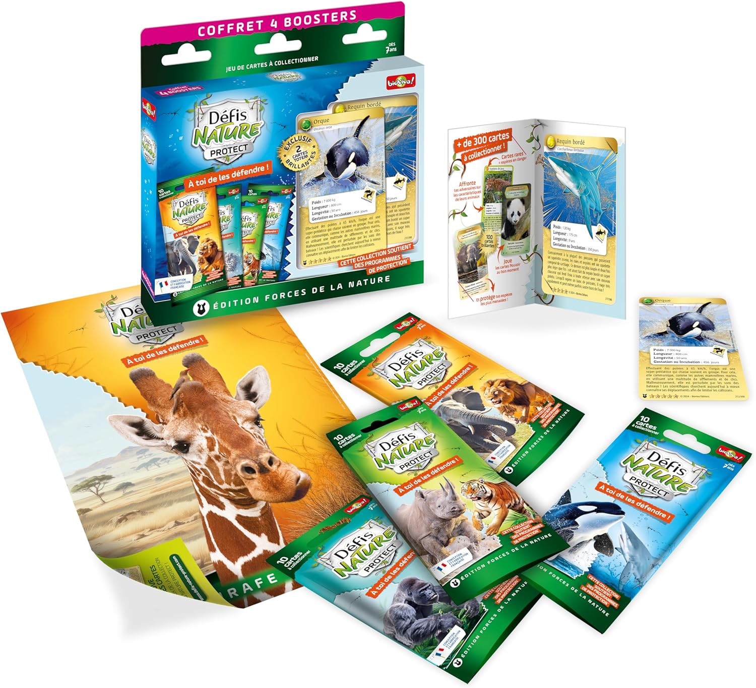 Detalle de Coffret 4 BOOSTERS Orque & Requin, Bleu/Blanc – JEU ÉDUCATIF & Amusant