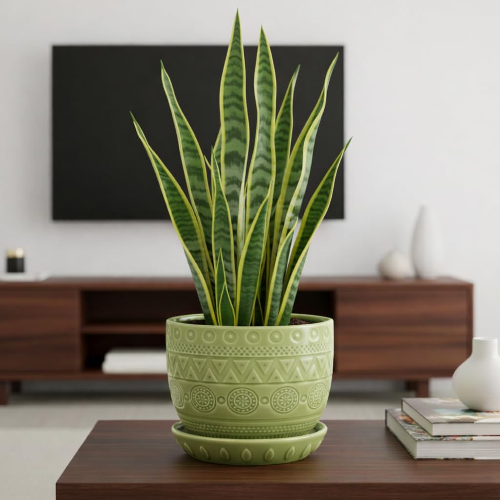 Detalle 2 de EPGardening Ceramic Plant Pot 5.5-Inch