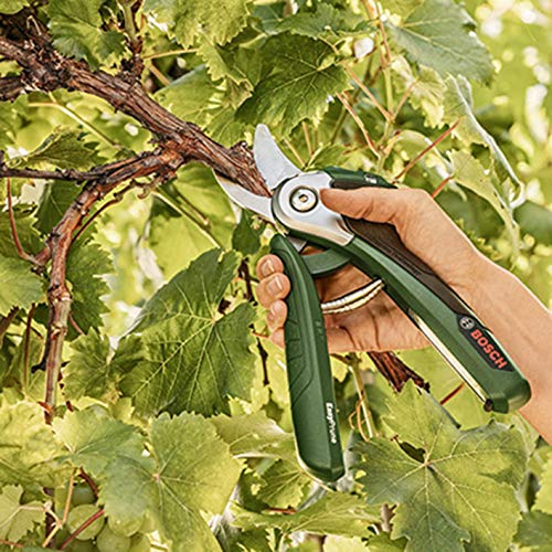 Detalle 2 de Bosch EasyPrune cuchilla de recambio ✂