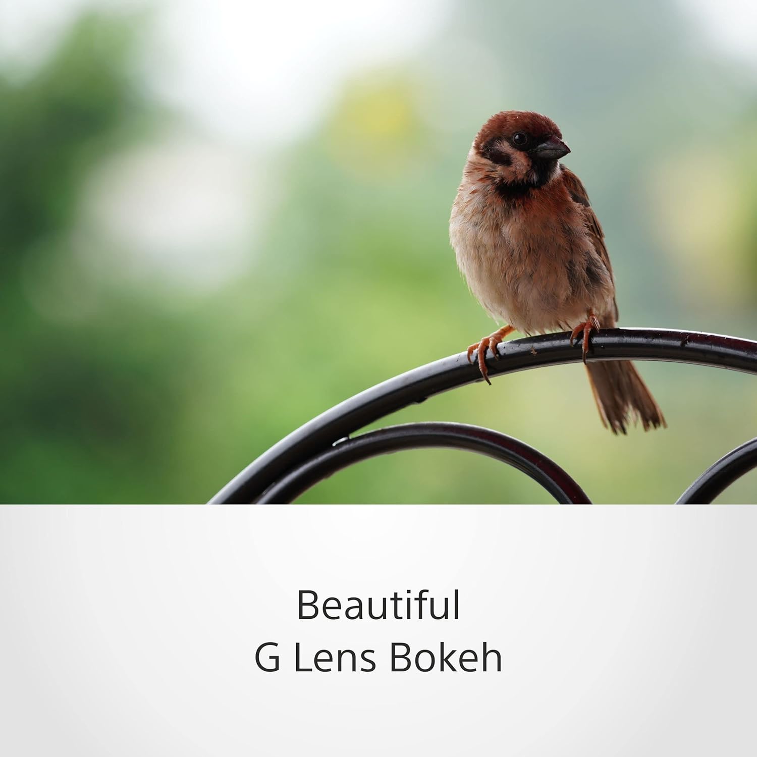 Thumbnail 2 de Sony E 70-350 mm f/4.5-6.3 G OSS 📷 Telezoom Super 