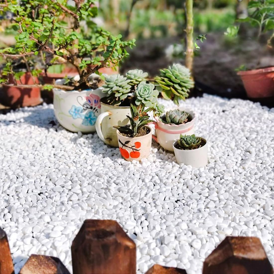 Detalle 2 de YISZM YI-Lishi10lb-baise0.3-0.6 White River Pebbles, 1/5-Inch Natural Stone