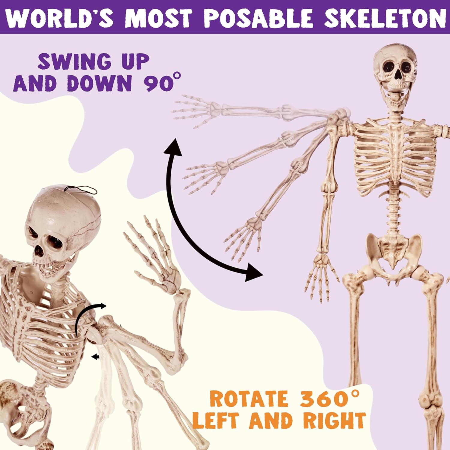 Detalle 2 de JOYIN 16025 5.6 ft Posable Skeleton with Movable Joints