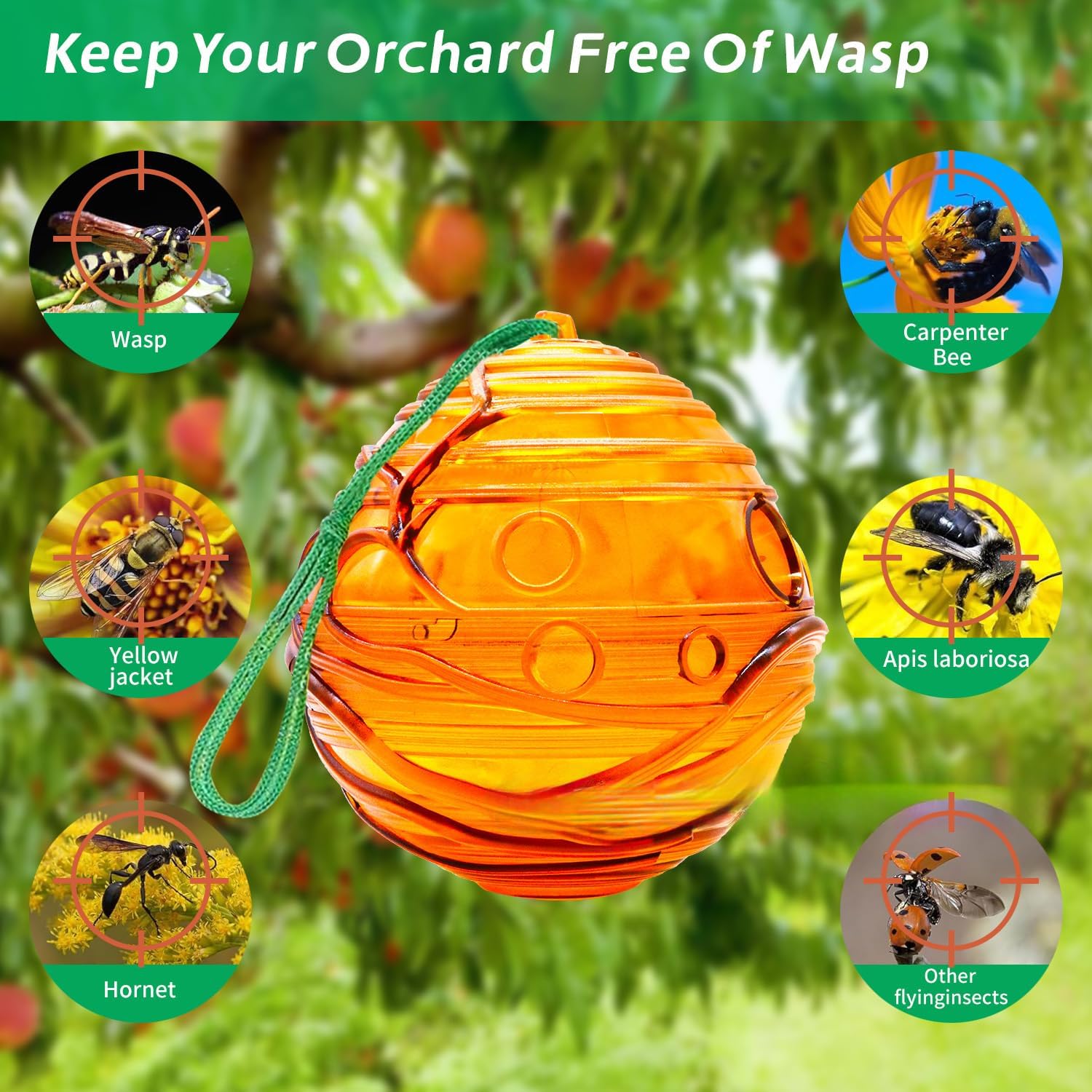 Detalle de VibeeLeaf Spherical Wasp Trap 2 Pcs – Waterproof, Reusable and Eco-friendly Fly, Wasp and Hornet Catcher
