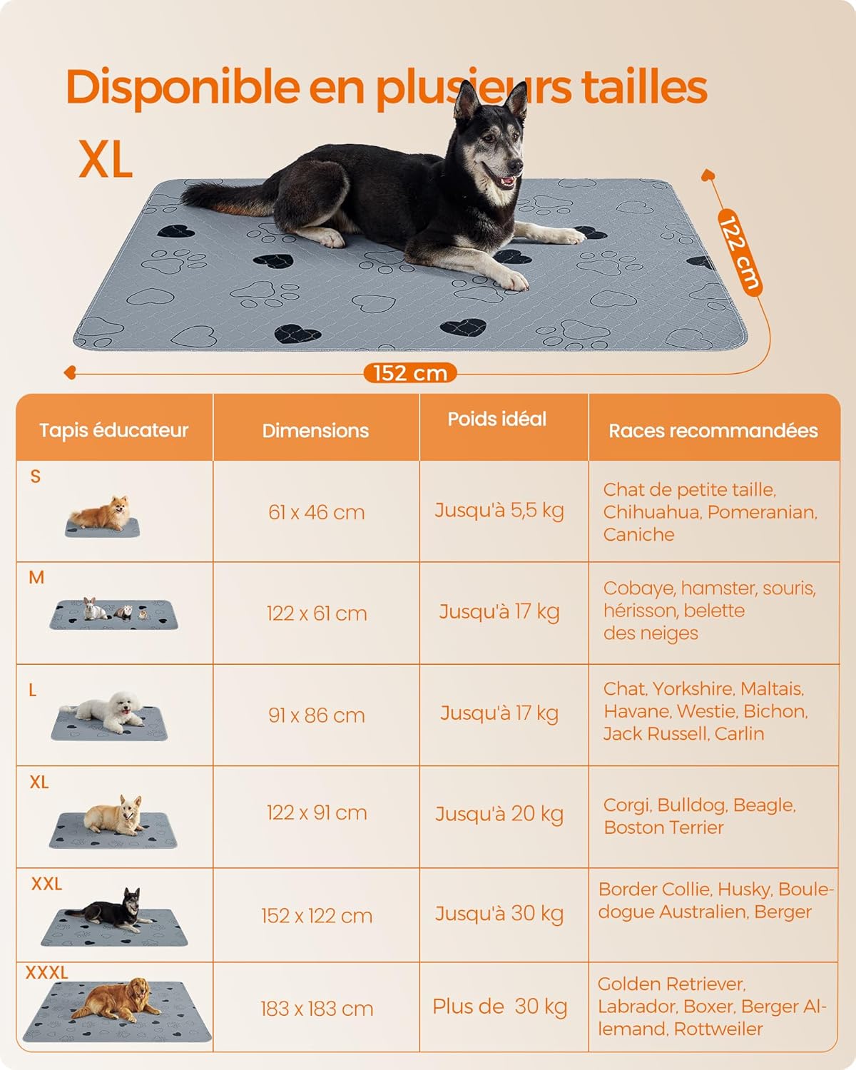 Thumbnail 4 de Feandrea Tapis Éducateur pour Chien – Lot de 2, Tapis Ultra Absorbants et Lavables, Gris, 152 x 122 cm, Taille XXL
