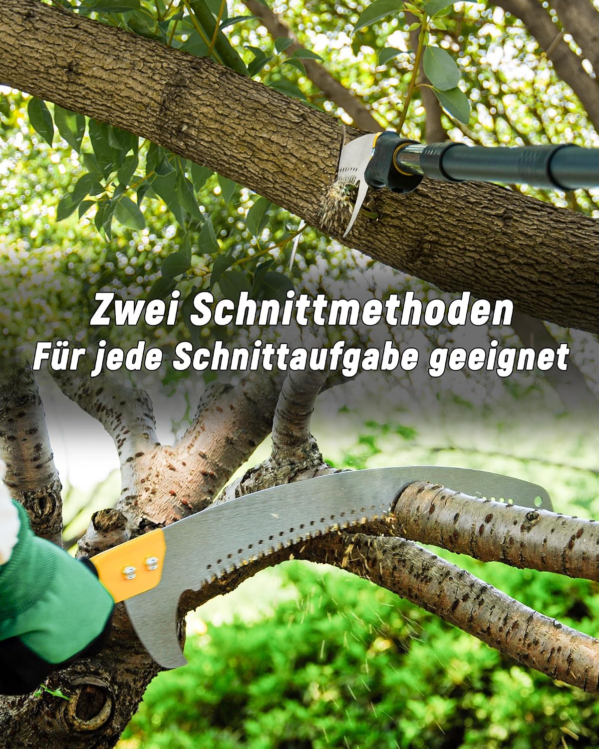 Detalle 2 de BlumeTrec Astsägen mit Stiel zum Baumschnitt 4,3 m – leichte, ausziehbare Baumsäge