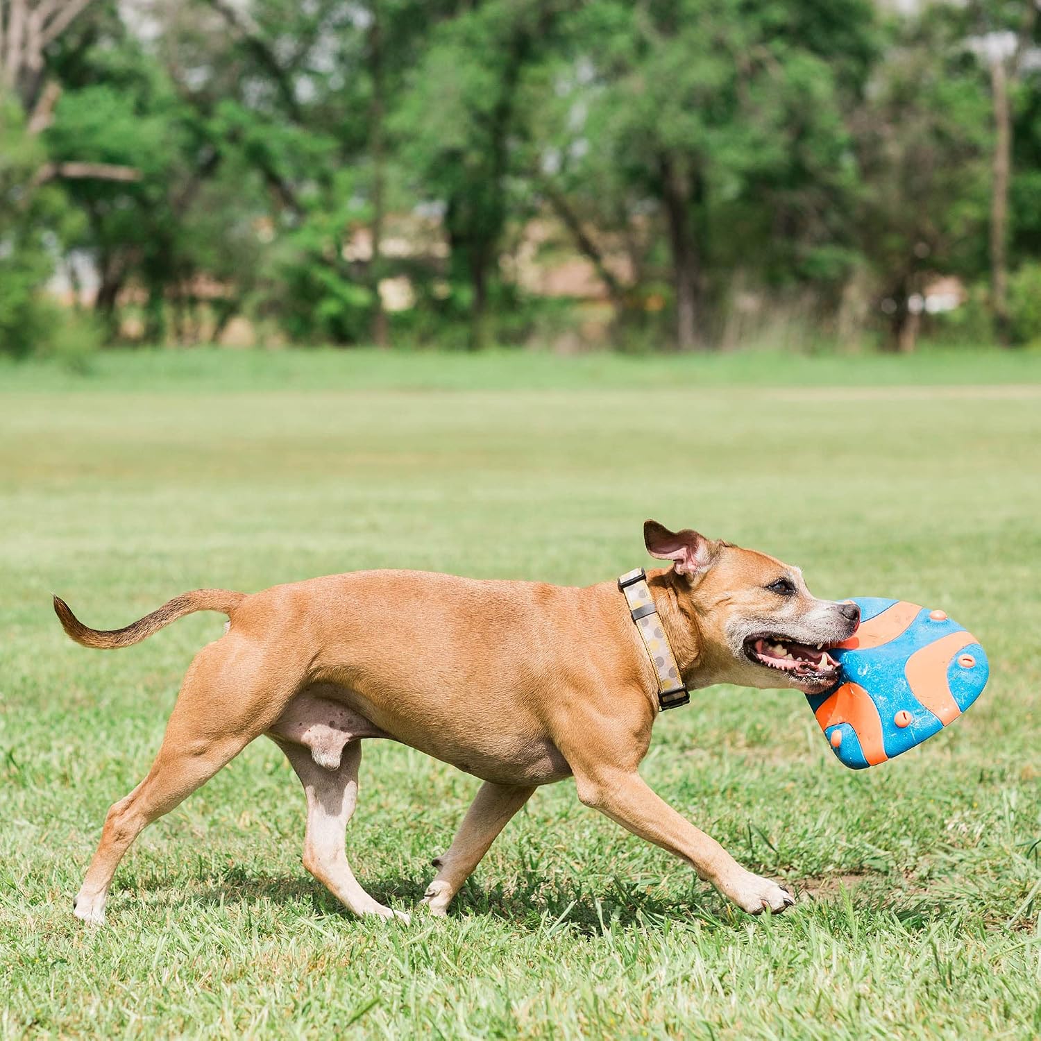 Detalle 2 de Chuckit! Whistle Flight: Frisbee per Cani con Fischio Integrato (28 cm)