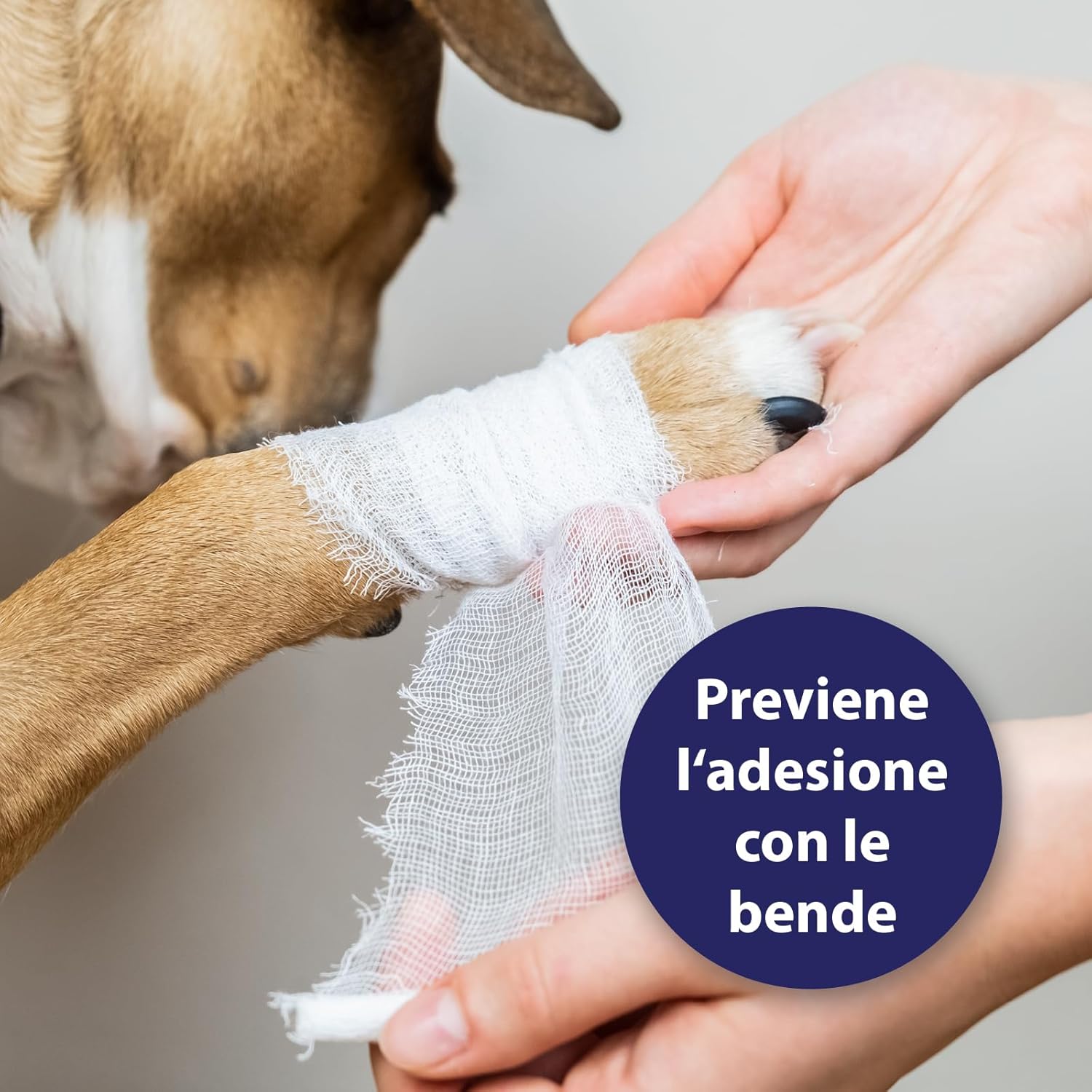 Detalle de Canosept Gel Per Ferite Cane 20ml – Gel antisettico per ferite e pulizia della pelle del cane