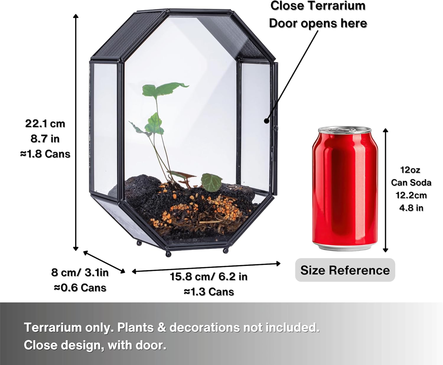 Thumbnail 3 de NCYP Glass Terrarium for Jumping Spiders