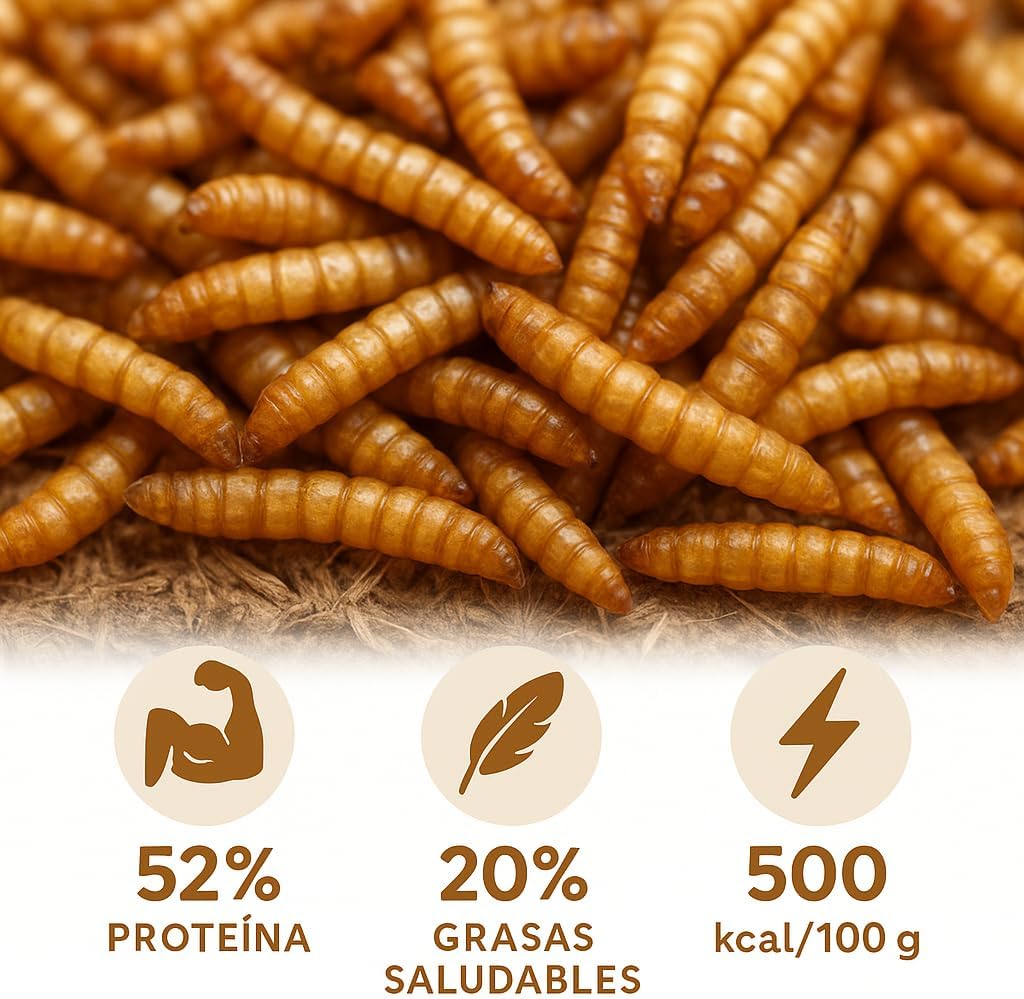 Thumbnail 1 de AF® Gusanos de la Harina 600 g 🐛